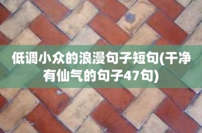 ​低调小众的浪漫句子短句(干净有仙气的句子47句)