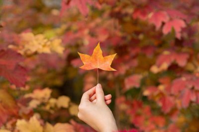 ​立秋的句子短句唯美（20句关于立秋的唯美短句）