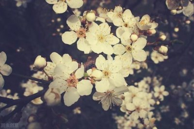 ​六月你好的唯美句子（20句六月的经典语录）