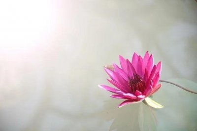 ​描写淡淡的感觉的句子（描写阳光的唯美佳句）