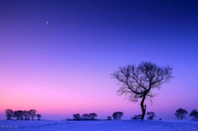 ​关于清风的唯美句子（与清风作伴的经典短句）