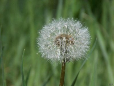 ​星辰大海般温柔的短句(你配得上世间所有的美好)