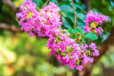 ​表示肯定的句子（10句表示高度认可肯定的语句）