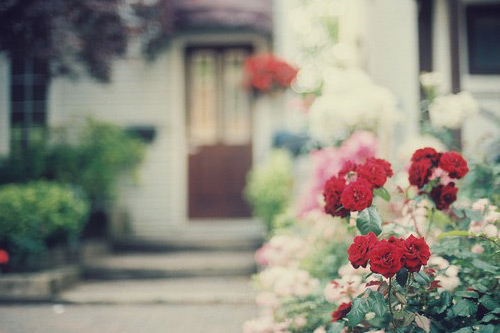 春天的唯美短句子80句