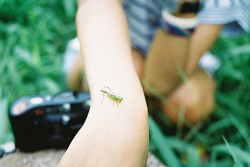 2023年八一建军节唯美句子(50句)