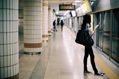 ​柳树的优美句子93句