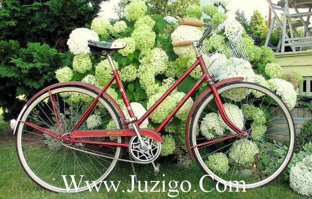 情人生日祝福语短句唯美 情人生日情话短句(精选35句)