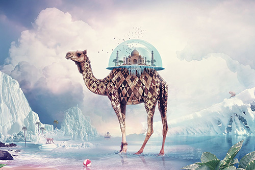 情人节的祝福语84句