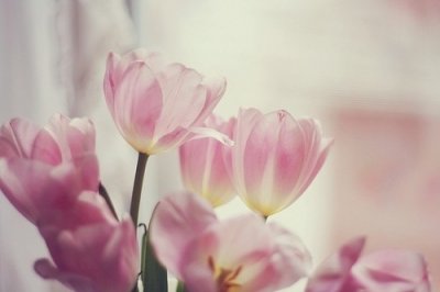 ​初一祝福语大全85句