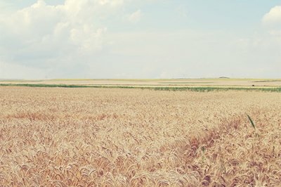 ​对朋友祝福语86句