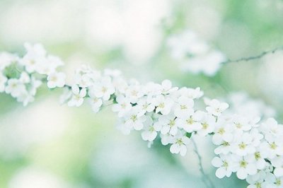 ​描写初冬的优美句子85句