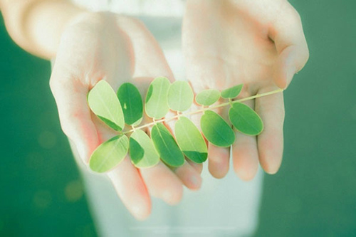 2023年拜年短信祝福语56句