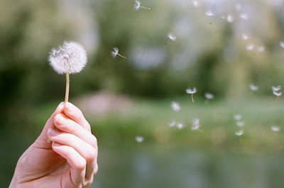 ​2023年春节祝福语大全52句