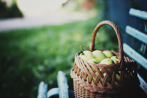 2023年新年祝福短信53句