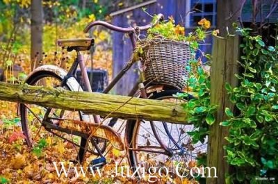 ​关心女孩子开心的话88句