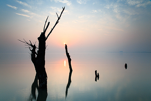 2023年最后一天的祝福语40句