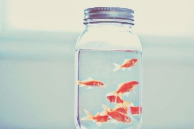 ​花店祝福语45句