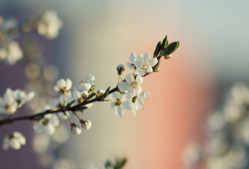 1689335926498264.png image.png