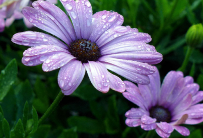 ​8字有趣的网名大全(868个)