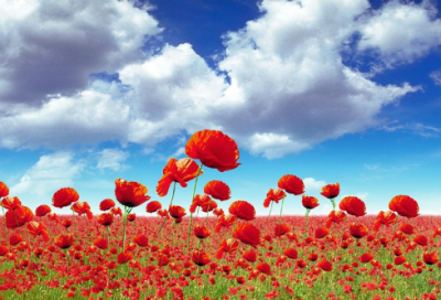 ​气质一点的微信名字(精选1240个)