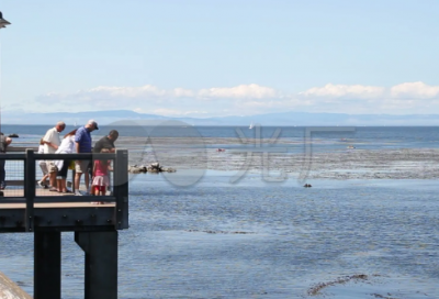 ​联盟名字大全800个