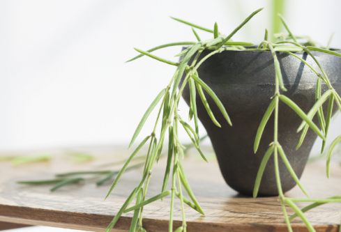 1683102541728657.png image.png