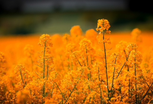 1689280674112127.png image.png