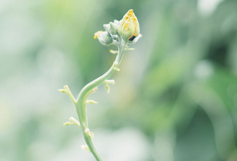 1683122152137744.png image.png