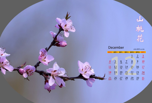 1686240626135274.png image.png