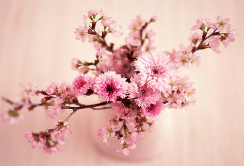 1683126815127873.png image.png