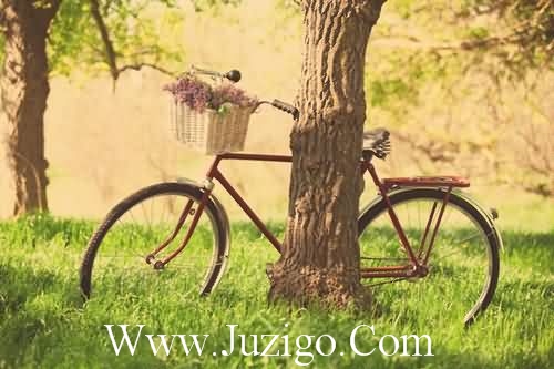 话晒午餐的句子朋友圈晒午餐的句子(精选34句)