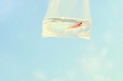 ​送给长辈的生日祝福语96句