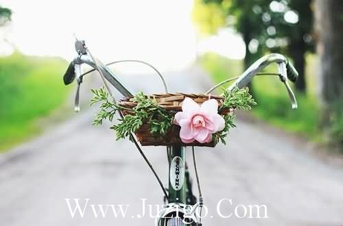 简短的结婚祝福语 新婚快乐的祝福语短句(精选70句)