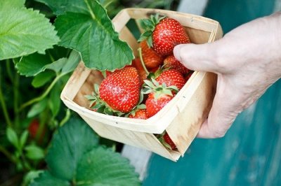 ​人生前程的祝福语85句