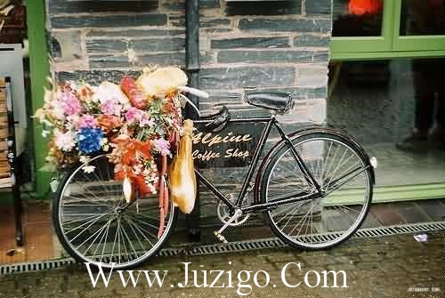 给老师的生日简短祝福语(49句)