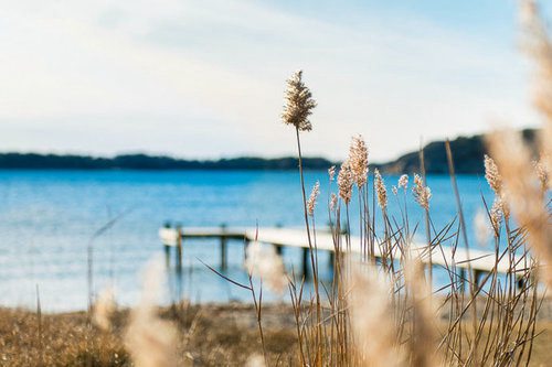 2023年重阳节祝福短信120句