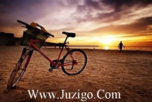 感人的结婚祝福语123句