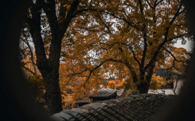 ​好听又优美微信名字 有气质内涵的微信名字