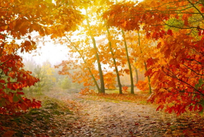 ​探探好听的男人昵称 探探诗意好听的网名