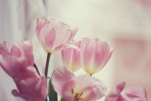 关于八月的唯美句子文案大全 雨天唯美文案句子(32句)