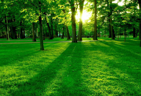 1685978177137736.png image.png