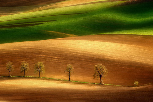 中秋节祝福语大全2023年118句