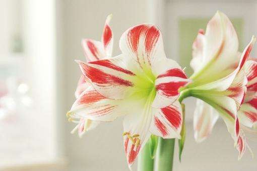 qq中秋节祝福语2023年114句