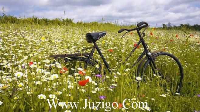 特别唯美的童话句子92句