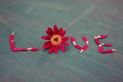 ​亲人的祝福语104句