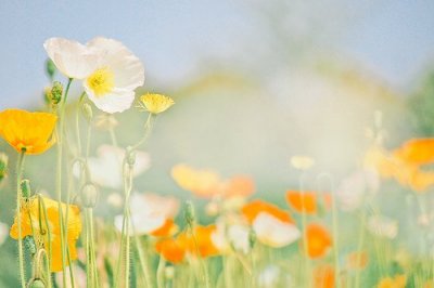 ​2023年qq祝福语95句