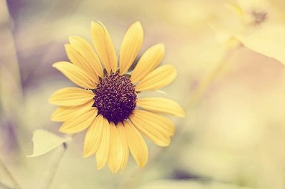 ​另类高考祝福语97句