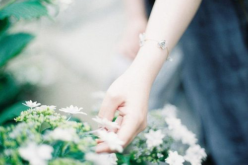 拟人句唯美38句