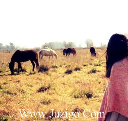 生女孩满月祝福语【三篇】