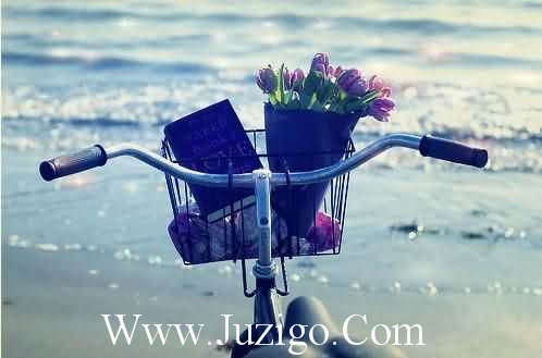 猴年的春节祝福短信92句